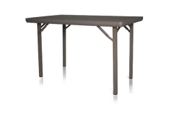 Table, Banquet 4'x30" Premium Plastic