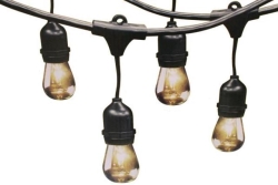 Lights, Vintage LED String Black 48' 24 Bulb