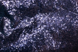 Runner, 120" Lng Navy Sequin