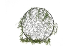 Greenery W/ Wire Hoop Medium