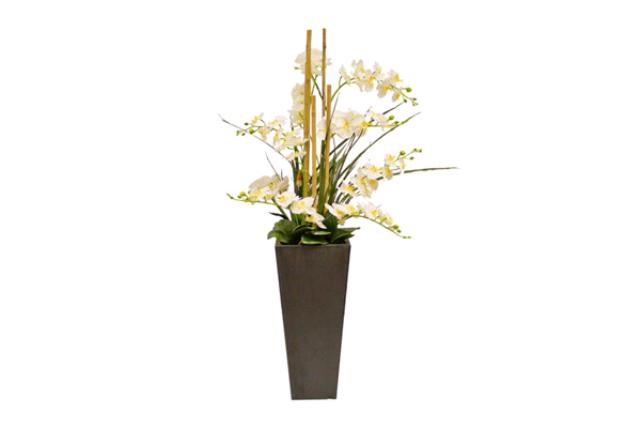 Grass, Green W/Square Stand