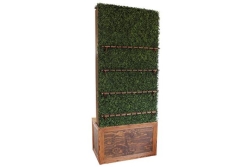 Hedge Wall, Champagne Rustic 3.25' W X 8' H