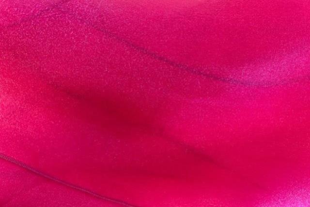 Tie, Fuchsia Organza
