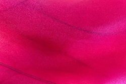 Tie, Fuchsia Organza