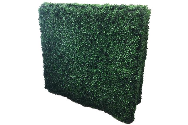 Hedge, Boxwood Green 40"x12"x40"