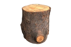 Stump, Small