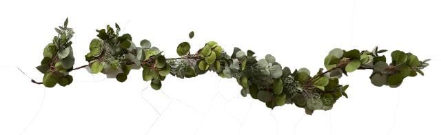 Garland, 6' Eucalyptus W/ Sprigs