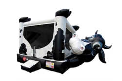 Bounce House, Cow