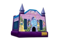 Bounce House, Disney Princess