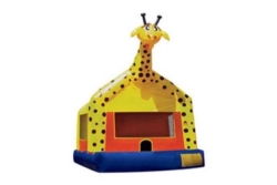 Bounce House, Giraffe