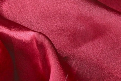 Tie, Burgundy Organza