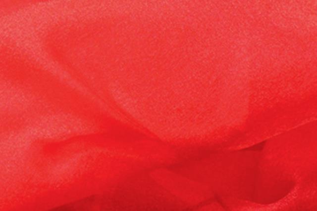 Tie, Red Organza