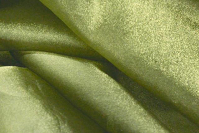 Tie, Sage Organza