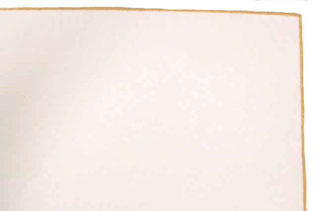 Napkin, White W/Gold Edge