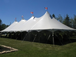 Tent, 40' X 100' Pole White