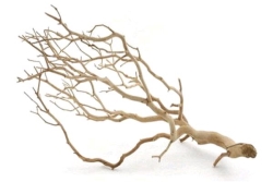 Branches, Manzanita Sandblasted (24"-30"