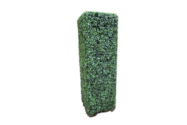 Tree, Boxwood Pillar 64" X 10" X 10"