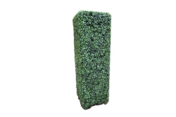 Tree, Boxwood Pillar 64" X 10" X 10"