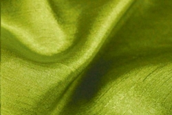 Napkin, Moss Majestic