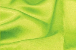 Tie, Lime Majestic