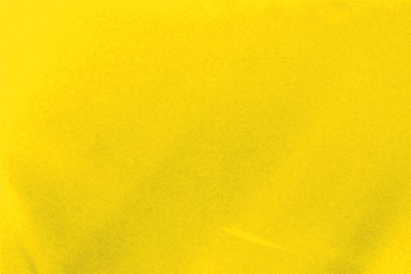 60" X 120" Lemon Poly