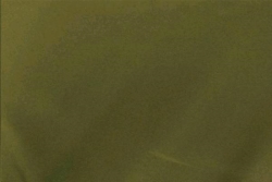 Napkin, Olive Poly